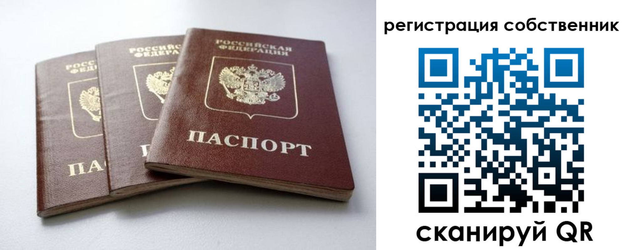 прописка для школы в Семикаракорске